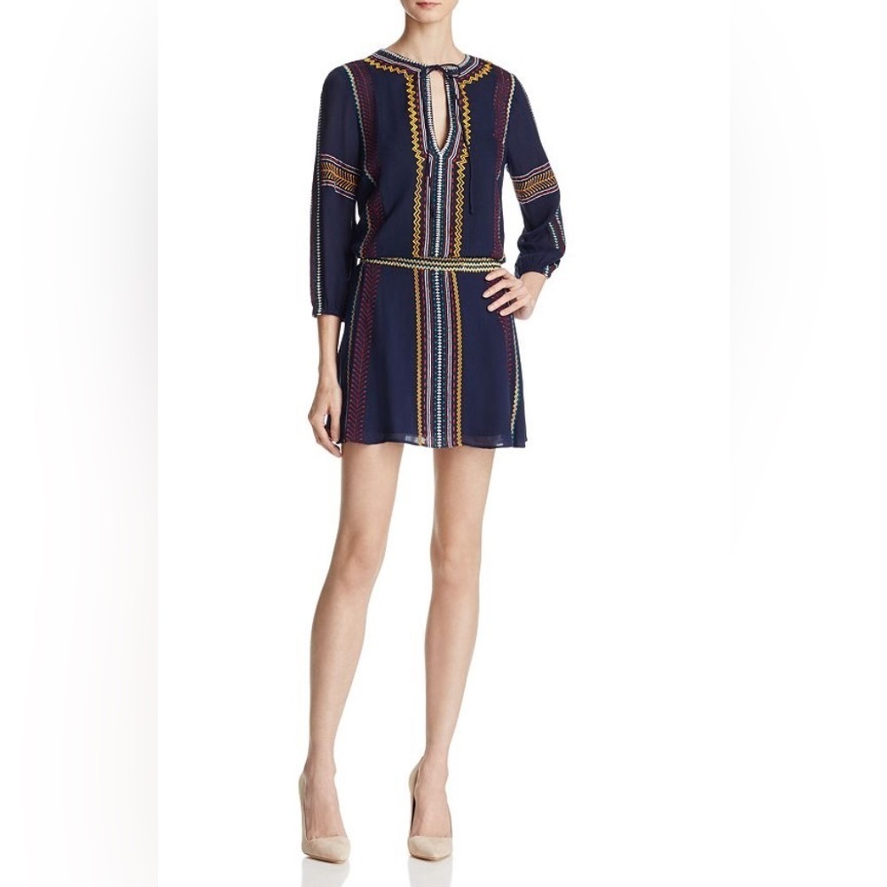 Alice & Olivia Jolene Embroidered Dress, Size 4 - Picture 3 of 13